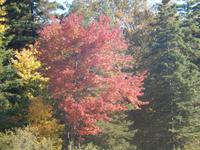 Indian Summer &ndash; &copy; Enrico Lindner-Ehrenreich (Eberhardt TRAVEL)
