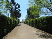 Garten der Villa Medici
