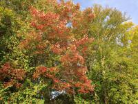 095 Kanutour im Algonquin Park &ndash; &copy; Patrick Fritzsche (Eberhardt TRAVEL)
