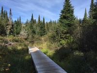 137 Algonquin Park &ndash; &copy; Patrick Fritzsche (Eberhardt TRAVEL)