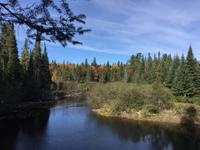 141 Algonquin Park &ndash; &copy; Patrick Fritzsche (Eberhardt TRAVEL)