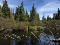 142 Algonquin Park &ndash; &copy; Patrick Fritzsche (Eberhardt TRAVEL)