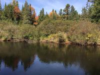 143 Algonquin Park &ndash; &copy; Patrick Fritzsche (Eberhardt TRAVEL)