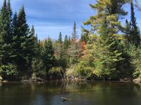 144 Algonquin Park &ndash; &copy; Patrick Fritzsche (Eberhardt TRAVEL)