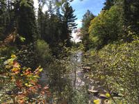 146 Algonquin Park &ndash; &copy; Patrick Fritzsche (Eberhardt TRAVEL)