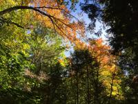 150 Algonquin Park &ndash; &copy; Patrick Fritzsche (Eberhardt TRAVEL)