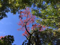 151 Algonquin Park &ndash; &copy; Patrick Fritzsche (Eberhardt TRAVEL)