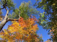 154 Algonquin Park &ndash; &copy; Patrick Fritzsche (Eberhardt TRAVEL)