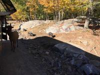 215 Omega Wildpark &ndash; &copy; Patrick Fritzsche (Eberhardt TRAVEL)