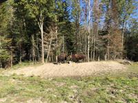 224 Omega Wildpark &ndash; &copy; Patrick Fritzsche (Eberhardt TRAVEL)