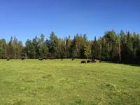 225 Omega Wildpark &ndash; &copy; Patrick Fritzsche (Eberhardt TRAVEL)
