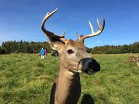 230 Omega Wildpark &ndash; &copy; Patrick Fritzsche (Eberhardt TRAVEL)