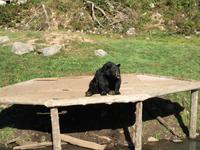 254 Omega Wildpark &ndash; &copy; Patrick Fritzsche (Eberhardt TRAVEL)