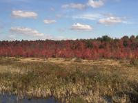 314 Indian Summer Kanada &ndash; &copy; Patrick Fritzsche (Eberhardt TRAVEL)