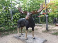 388 Canyon Sainte-Anne &ndash; &copy; Patrick Fritzsche (Eberhardt TRAVEL)