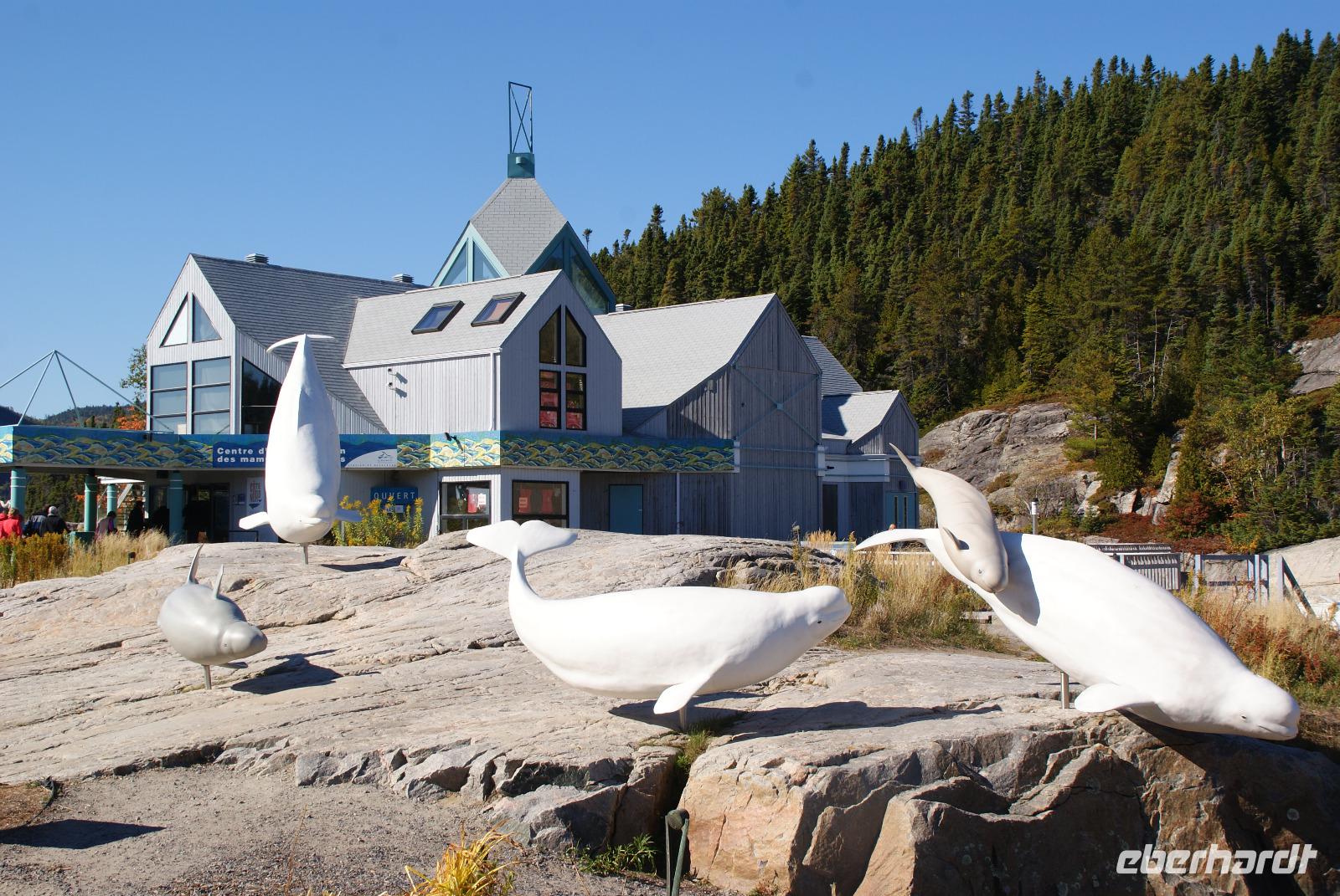 In Tadoussac &ndash; &copy; Susanne Schirmann (Eberhardt TRAVEL)