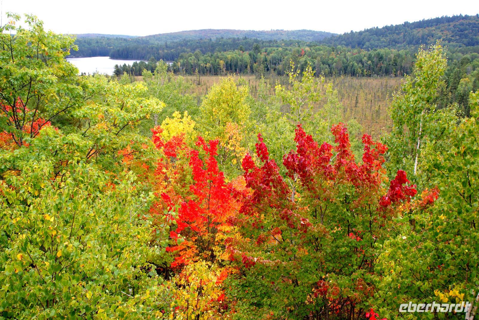 Aussicht im Algonquin Park &ndash; &copy; Susanne Schirmann (Eberhardt TRAVEL)