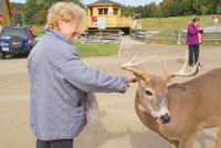 im Omega Wildpark &ndash; &copy; Susanne Schirmann (Eberhardt TRAVEL)