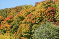 Indian Summer in voller Pracht &ndash; &copy; Susanne Schirmann (Eberhardt TRAVEL)
