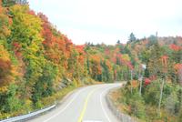 Indian Summer in voller Pracht &ndash; &copy; Susanne Schirmann (Eberhardt TRAVEL)