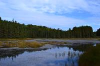 Algonquin Logging Museum Trail &ndash; &copy; Andreas Wolfsteller (Eberhardt TRAVEL)