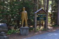 Algonquin Park - Logging Trail &ndash; &copy; Andreas Wolfsteller (Eberhardt TRAVEL)