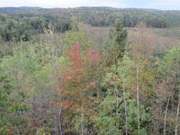 Algonquin Park &ndash; &copy; René Wächtler (Eberhardt TRAVEL)