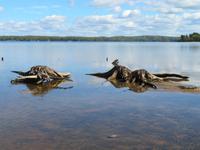 Lac Taureau