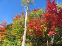 Indian Summer &ndash; &copy; René Wächtler (Eberhardt TRAVEL)