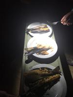 selbst geangelt - selbst gegrillt - selbst gegessen &ndash; &copy; René Wächtler (Eberhardt TRAVEL)