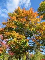 Indian Summer &ndash; &copy; René Wächtler (Eberhardt TRAVEL)