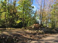 Omega Wildpark &ndash; &copy; Silvia Buske (Eberhardt TRAVEL)