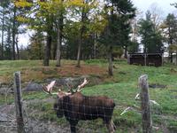Omega Wildpark &ndash; &copy; Silvia Buske (Eberhardt TRAVEL)