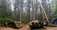 Logging Trail &ndash; &copy; Silvia Buske (Eberhardt TRAVEL)