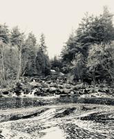 Algonquin Park &ndash; &copy; Silvia Buske (Eberhardt TRAVEL)