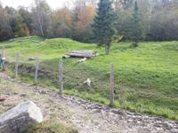 Ost-Kanada zum Indian Summer - Omega-Wildtierpark &ndash; &copy; Franziska Bergmann (Eberhardt TRAVEL)