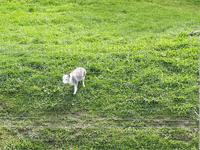Ost-Kanada zum Indian Summer - Omega-Wildtierpark &ndash; &copy; Franziska Bergmann (Eberhardt TRAVEL)