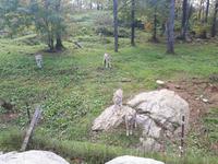 Ost-Kanada zum Indian Summer - Omega-Wildtierpark &ndash; &copy; Franziska Bergmann (Eberhardt TRAVEL)