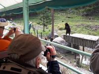 Ost-Kanada zum Indian Summer - Omega-Wildtierpark &ndash; &copy; Franziska Bergmann (Eberhardt TRAVEL)