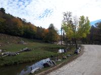 Ost-Kanada zum Indian Summer - Omega-Wildtierpark &ndash; &copy; Franziska Bergmann (Eberhardt TRAVEL)