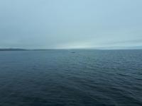 Ost-Kanada zum Indian Summer - Tadoussac, Wahlbeobachtungstour &ndash; &copy; Franziska Bergmann (Eberhardt TRAVEL)