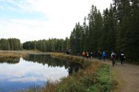 Algonquin Logging Museum Trail &ndash; &copy; Isabel Braksiek (Eberhardt TRAVEL)