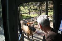 Im Omega Wildpark &ndash; &copy; Isabel Braksiek (Eberhardt TRAVEL)