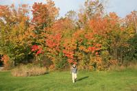 Indian Summer &ndash; &copy; Isabel Braksiek (Eberhardt TRAVEL)
