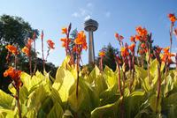 Skylon Tower (2) &ndash; &copy; Susanne Schirmann (Eberhardt TRAVEL)