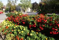Niagara on the Lake (3) &ndash; &copy; Susanne Schirmann (Eberhardt TRAVEL)