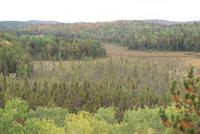 Algonquin Park (2) &ndash; &copy; Susanne Schirmann (Eberhardt TRAVEL)