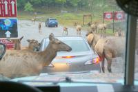 Omega Park (3) &ndash; &copy; Susanne Schirmann (Eberhardt TRAVEL)