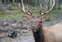 Omega Park  &ndash; &copy; Susanne Schirmann (Eberhardt TRAVEL)