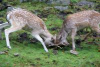 Omega Park (7) &ndash; &copy; Susanne Schirmann (Eberhardt TRAVEL)